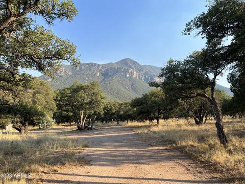 6262 S Wild Turkey Ln #-, Hereford, AZ 85615