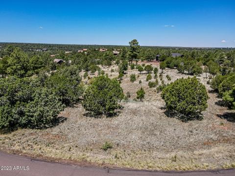 2780 Constellation Ln #-, Overgaard, AZ 85933