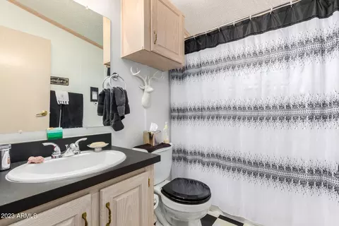 9333 E University Dr #39, Mesa, AZ 85207 photo 8
