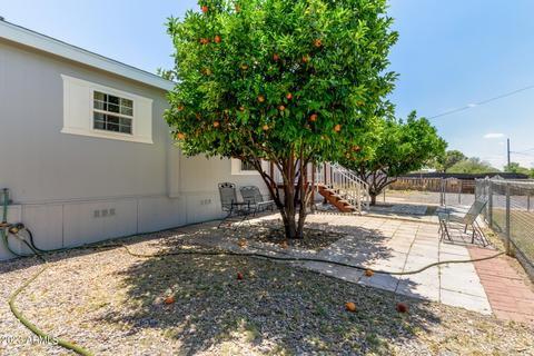 2825 E Juniper Ave, Phoenix, AZ 85032 photo 3