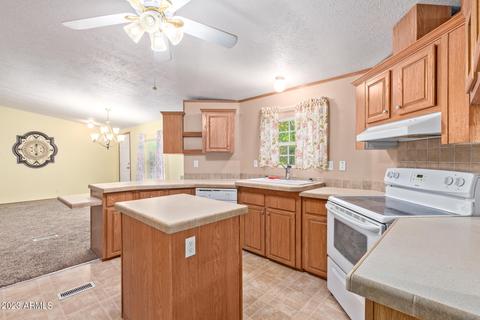 2825 E Juniper Ave, Phoenix, AZ 85032 photo 10