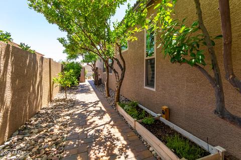 4614 E Prickly Pear Trl, Phoenix, AZ 85050 photo 38