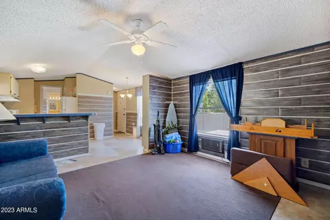 2714 C St, Overgaard, AZ 85933 photo 5