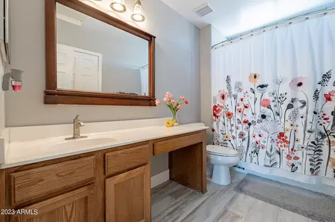 1421 E Thornton Ave, Gilbert, AZ 85297 photo 22