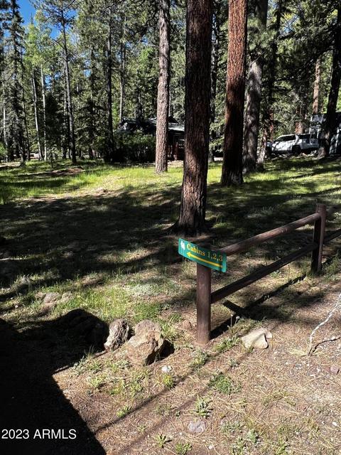 6 County Rd, Greer, AZ 85927 photo 11