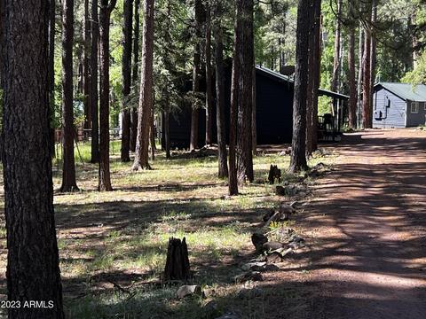 6 County Rd, Greer, AZ 85927 photo 12