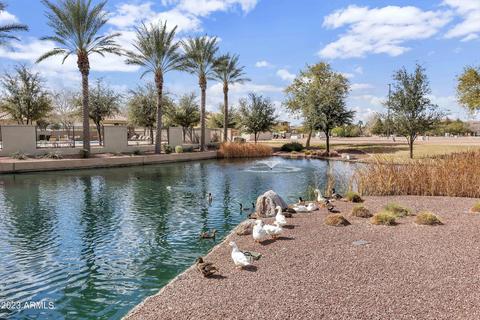 2795 S Key Biscayne Dr, Gilbert, AZ 85295 photo 32