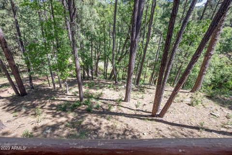 487 W Memory Ln, Payson, AZ 85541 photo 39