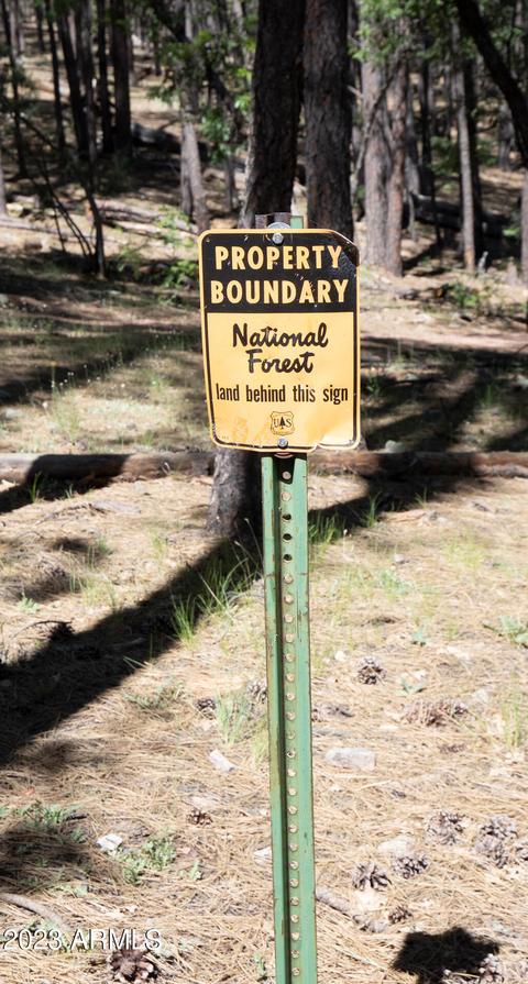 487 W Memory Ln, Payson, AZ 85541 photo 35