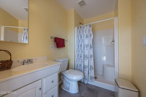 3849 E Oasis Cir, Mesa, AZ 85215 photo 71