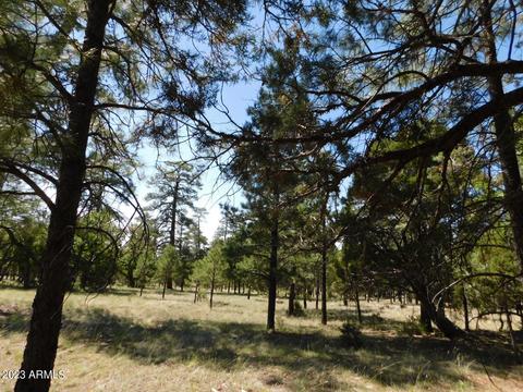 4890 Juniper Dr #132, Happy Jack, AZ 86024