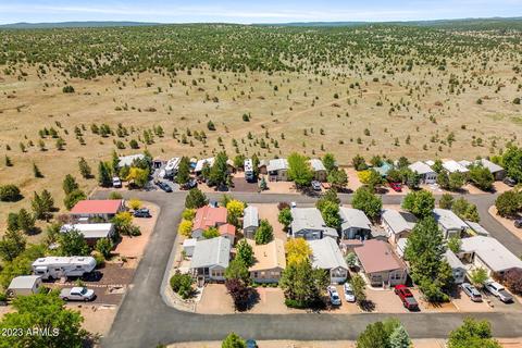 2269 Hanging Tree Ln, Overgaard, AZ 85933 photo 20