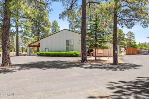 2269 Hanging Tree Ln, Overgaard, AZ 85933 photo 27