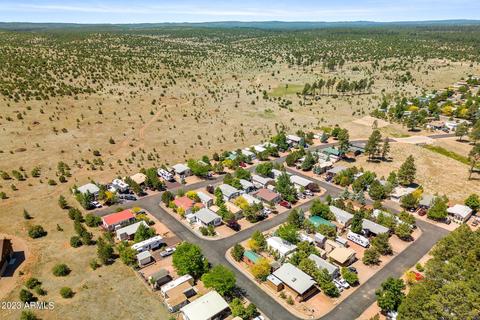 2269 Hanging Tree Ln, Overgaard, AZ 85933 photo 21