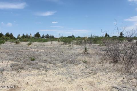 058 E Nevada -- # Q, Hereford, AZ 85615