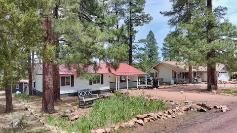 3379 Pine Cone Dr, Overgaard, AZ 85933 photo 9