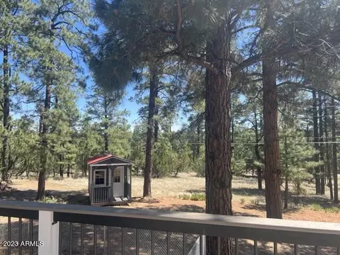 3379 Pine Cone Dr, Overgaard, AZ 85933 photo 44