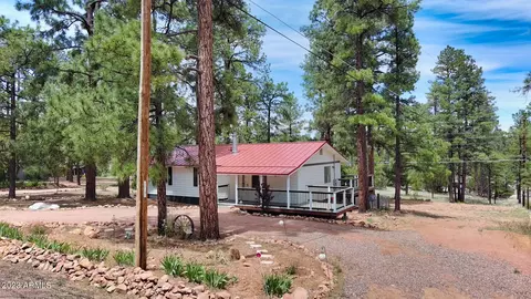 3379 Pine Cone Dr, Overgaard, AZ 85933 photo 25