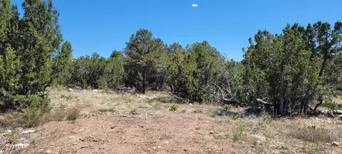 3181 Trailblazer Dr #-, Overgaard, AZ 85933 photo 7