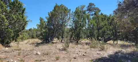 3181 Trailblazer Dr #-, Overgaard, AZ 85933 photo 6
