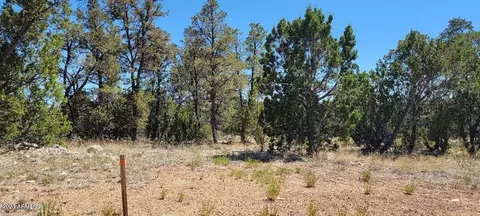 3181 Trailblazer Dr #-, Overgaard, AZ 85933 photo 5