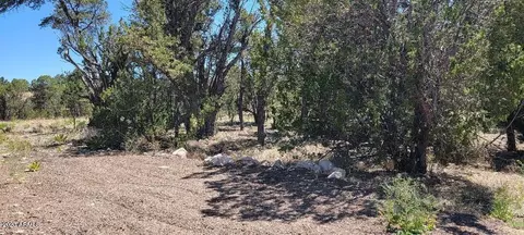 3181 Trailblazer Dr #-, Overgaard, AZ 85933 photo 2
