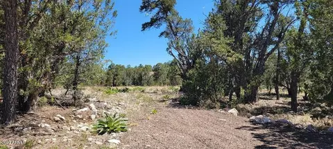 3181 Trailblazer Dr #-, Overgaard, AZ 85933 photo 3