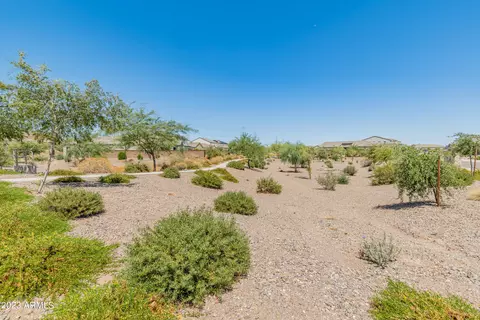 2229 E Questa Dr, Phoenix, AZ 85024 photo 27