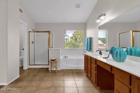 1237 W Seascape Dr, Gilbert, AZ 85233 photo 32