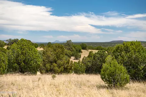 000 Wooden Ear Ranch Rd # -C, Seligman, AZ 86337