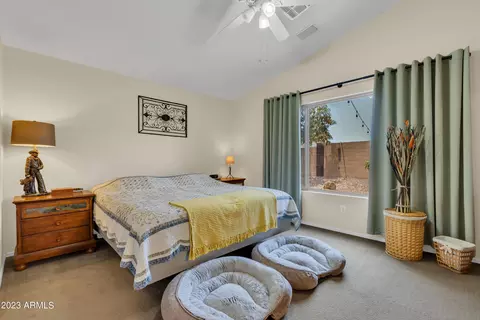 10102 E Obispo Ave, Mesa, AZ 85212 photo 19