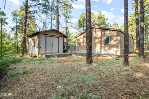 2962 Teddy Bear Trl, Overgaard, AZ 85933 photo 19