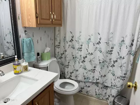 3805 E Alder Ave, Mesa, AZ 85206 photo 14