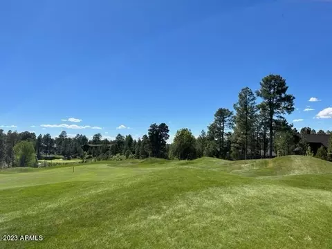 4311 W Hawthorn Rd #23, Show Low, AZ 85901