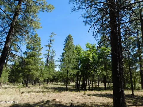 2133 Pine Canyon Dr #176, Happy Jack, AZ 86024