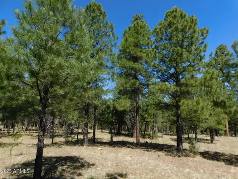 2161 Pine Canyon Dr #177, Happy Jack, AZ 86024