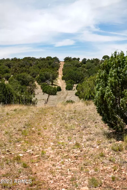 000 Wooden Ear Rach Rd #LOT D, Seligman, AZ 86337