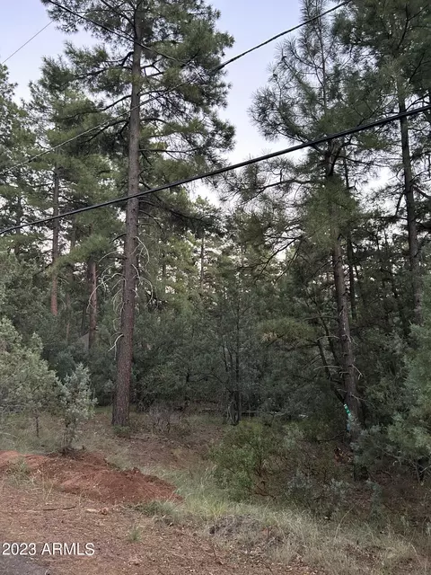 9185 W Tonto Rim Dr #-, Strawberry, AZ 85544