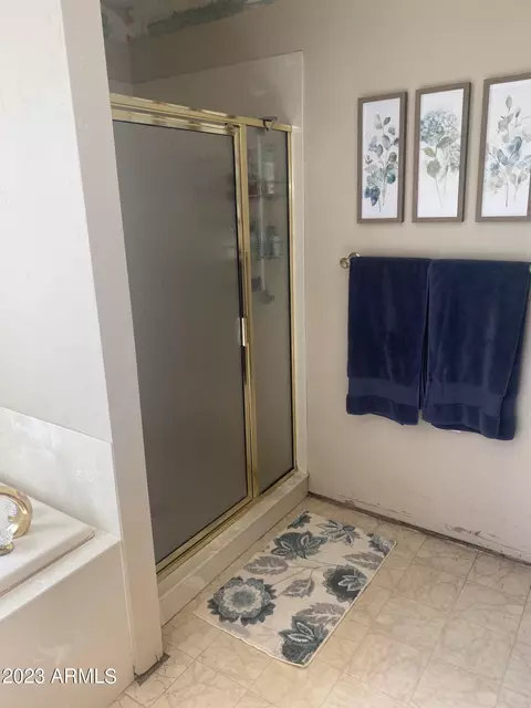1314 E 1st Pl, Mesa, AZ 85203 photo 42