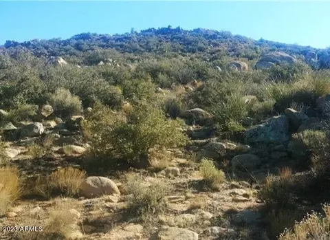 NN Lots 8 & 9 -- #8 AND 9, Wikieup, AZ 85360
