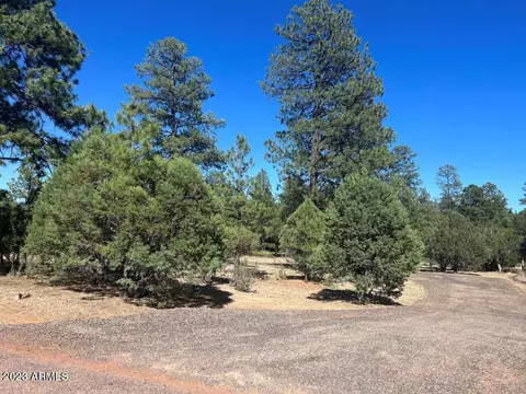 2971 Arrowhead Dr #222, Overgaard, AZ 85933