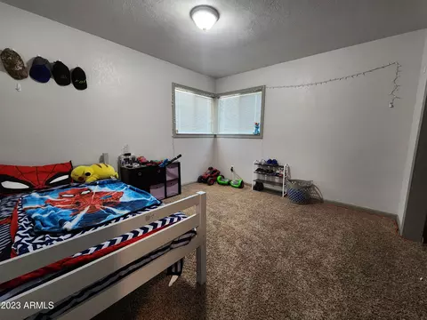 541 N Cochise Ave, Willcox, AZ 85643 photo 12