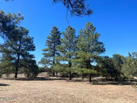 2975 Arrowhead Dr #223, Overgaard, AZ 85933