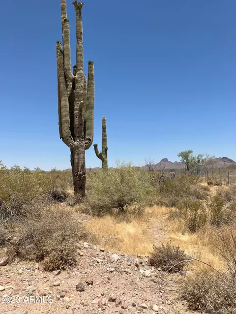 0 W Galvin Rd #119, Wickenburg, AZ 85390