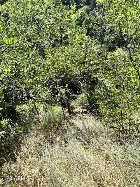 5128 N Bear Flat Rd, Payson, AZ 85541 photo 52