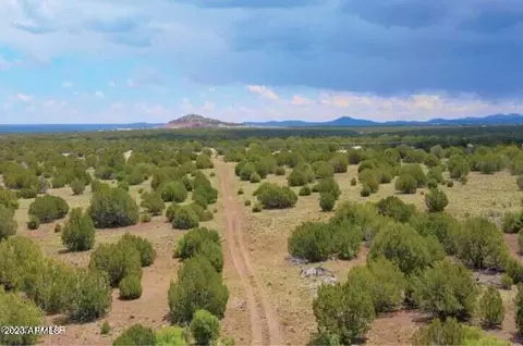 lot C-3 Silver Lake Blvd #-, Show Low, AZ 85901