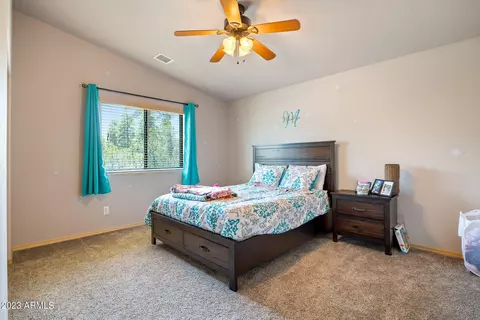 2058 Christmas Pine Rd, Overgaard, AZ 85933 photo 23