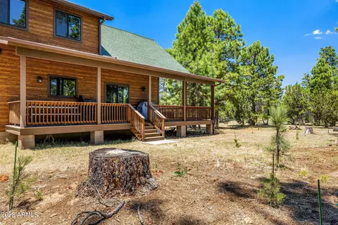 2058 Christmas Pine Rd, Overgaard, AZ 85933 photo 28