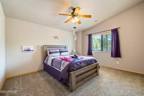 2058 Christmas Pine Rd, Overgaard, AZ 85933 photo 20