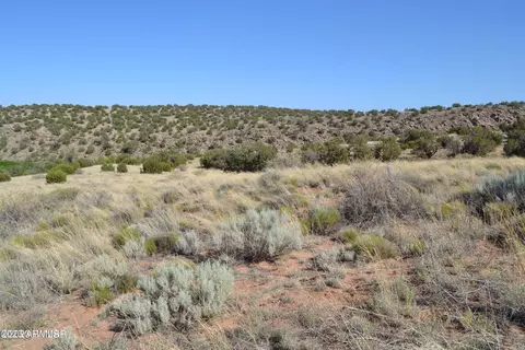4459 Silver Hawk Trl #203B, Snowflake, AZ 85937